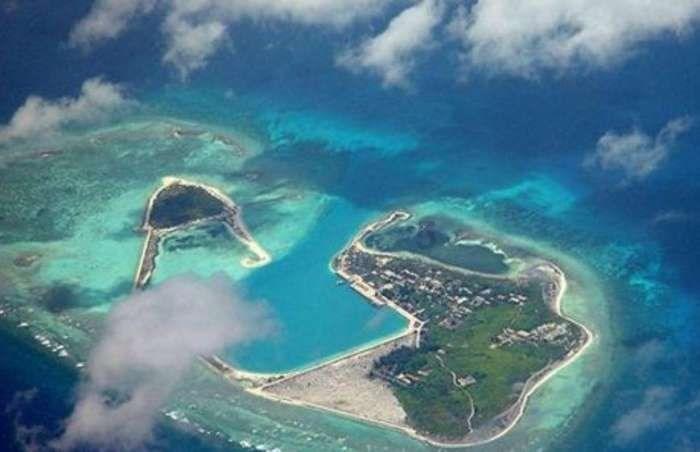 沪江开心词场