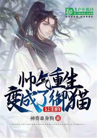 小猫钓鱼正版下载中文版